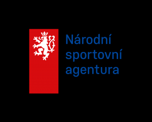 logo_nsa_barevne-pozitivni_rgb-1-300x242.png
