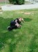 IMG-20230610-WA0050
